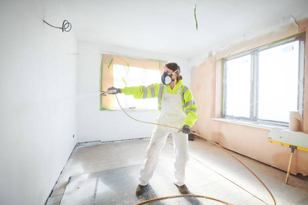 Reliable Pleasanton, CA Mold Removal Solutions
