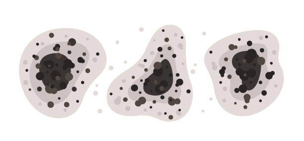 Best Commercial Mold Inspection  in Pleasanton, CA