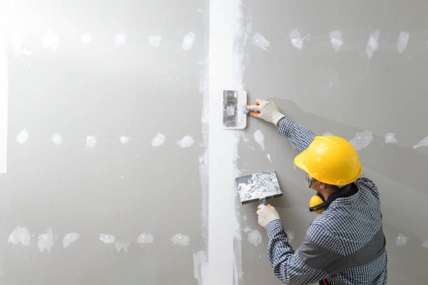 Best Biohazard Mold Removal  in Pleasanton, CA