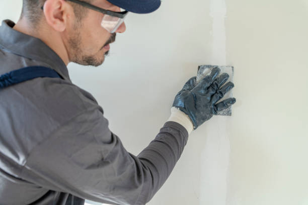 Best Post-Construction Mold Inspection  in Pleasanton, CA