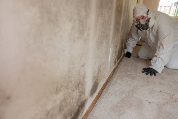 Best Mold Removal for HVAC Installations  in Pleasanton, CA