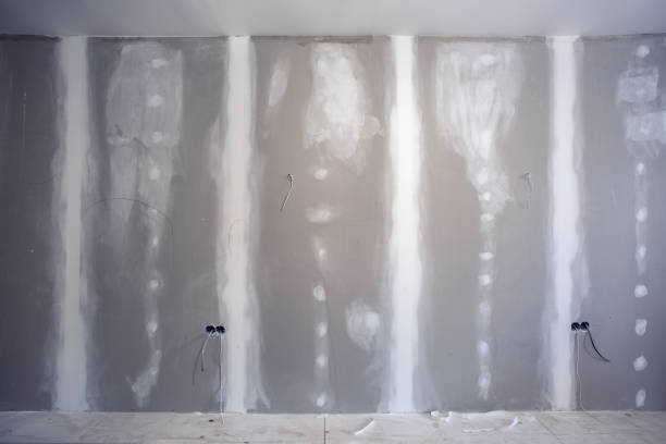 Best Real Estate Mold Inspection  in Pleasanton, CA